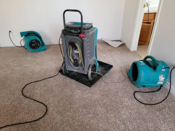 Best Local water damage restoration  in Walker, LA