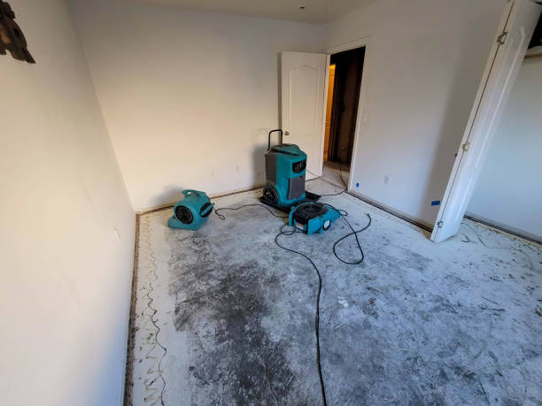 Best 24/7 water damage repair  in Walker, LA
