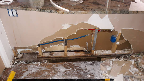 Reliable Walker, LA Water damage restoration Solutions