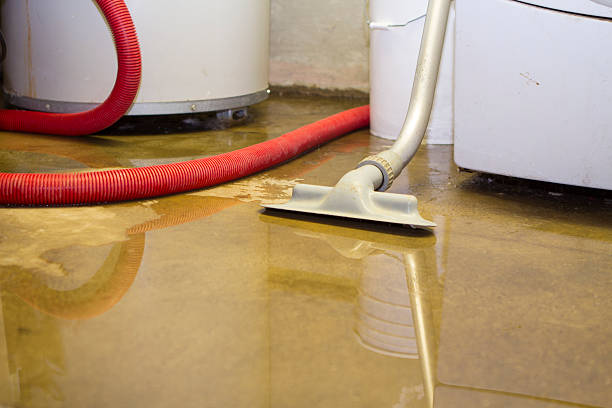 Best Water damage cleanup near me  in Walker, LA