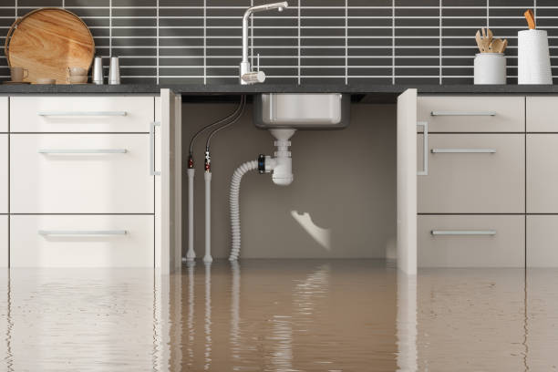  Walker, LA Water damage restoration Pros